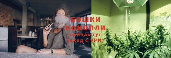 прущие грибы Беломорск