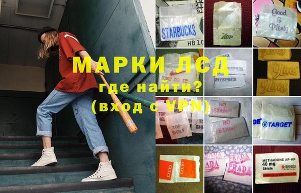 прущие грибы Беломорск