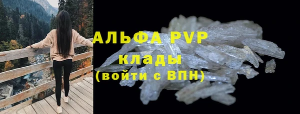прущие грибы Белоозёрский