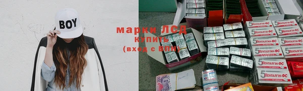 прущие грибы Беломорск