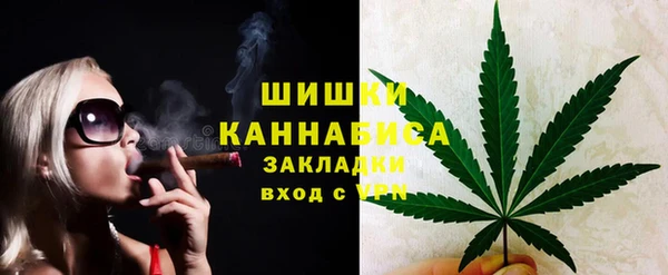 прущие грибы Белоозёрский