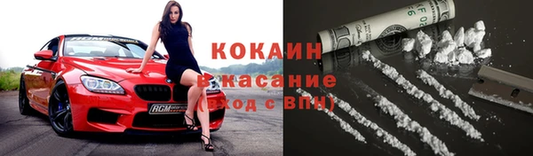 прущие грибы Беломорск