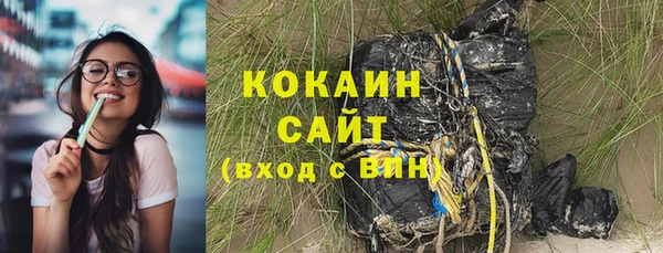 прущие грибы Беломорск