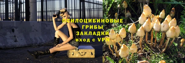 прущие грибы Белоозёрский
