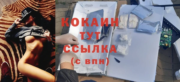 прущие грибы Белоозёрский