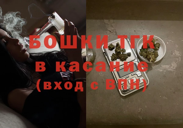 прущие грибы Белоозёрский