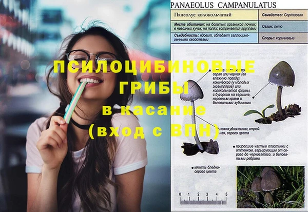 каннабис Белокуриха