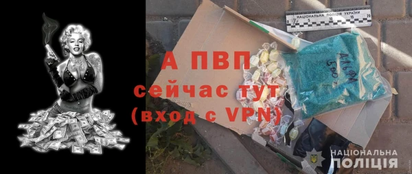 прущие грибы Беломорск