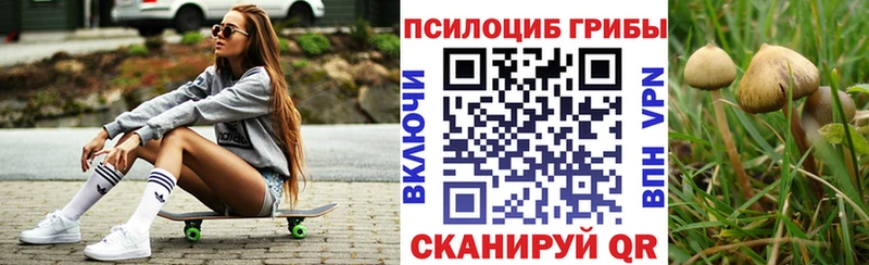 Псилоцибиновые грибы GOLDEN TEACHER  ссылка на мегу зеркало  Няндома 